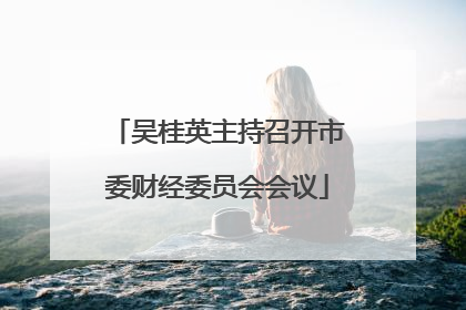 吴桂英主持召开市委财经委员会会议