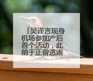 吴谨言现身机场参加产后首个活动，此前于正曾透露其本月复出