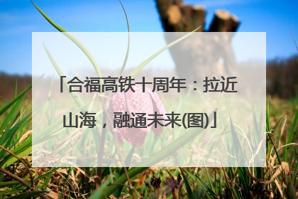 合福高铁十周年：拉近山海，融通未来(图)