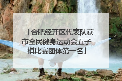 合肥经开区代表队获市全民健身运动会五子棋比赛团体第一名