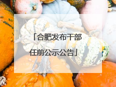 合肥发布干部任前公示公告