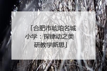 合肥市琥珀名城小学：探律动之美 研教学新思