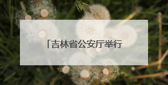 吉林省公安厅举行“吉林法治公安建设”新闻发布会