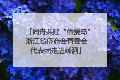 同舟共建“侨爱岛” 浙江省侨商会青委会代表团走进嵊泗