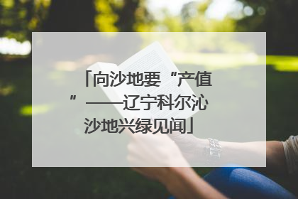 向沙地要“产值”——辽宁科尔沁沙地兴绿见闻