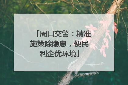 周口交警：精准施策除隐患，便民利企优环境