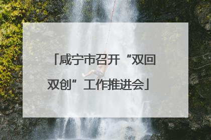 咸宁市召开“双回双创”工作推进会