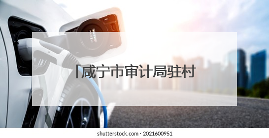 咸宁市审计局驻村工作队巧用“三招”点亮美丽乡村