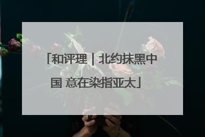 和评理｜北约抹黑中国 意在染指亚太
