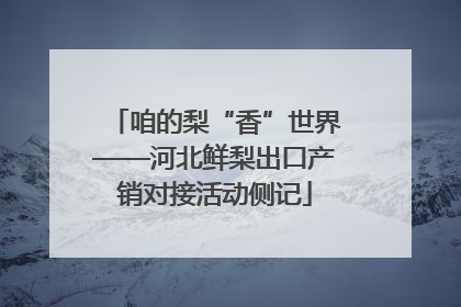 咱的梨“香”世界——河北鲜梨出口产销对接活动侧记