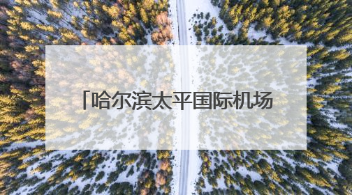 哈尔滨太平国际机场口岸：今年出入境旅客突破30万人次 同比增30.4%