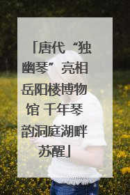 唐代“独幽琴”亮相岳阳楼博物馆 千年琴韵洞庭湖畔苏醒