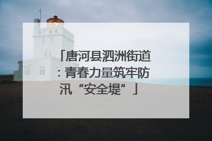 唐河县泗洲街道：青春力量筑牢防汛“安全堤”
