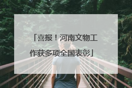 喜报！河南文物工作获多项全国表彰