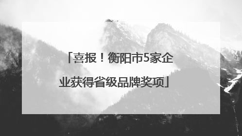 喜报！衡阳市5家企业获得省级品牌奖项