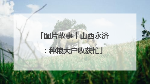 图片故事丨山西永济：种粮大户收获忙