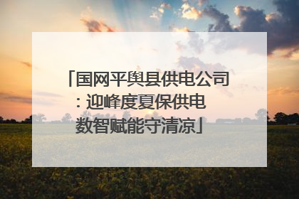 国网平舆县供电公司：迎峰度夏保供电  数智赋能守清凉