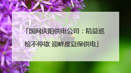 国网庆阳供电公司：精益巡检不停歇 迎峰度夏保供电