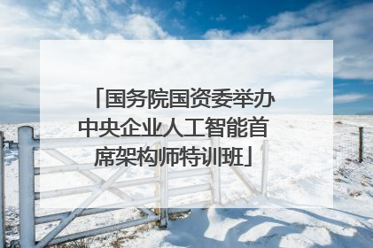 国务院国资委举办中央企业人工智能首席架构师特训班