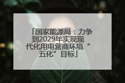 国家能源局：力争到2029年实现现代化用电营商环境“五化”目标