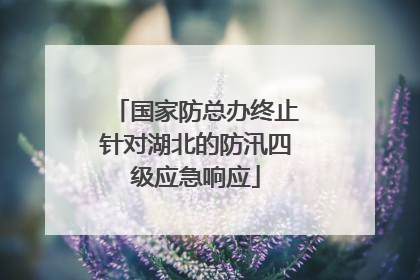 国家防总办终止针对湖北的防汛四级应急响应