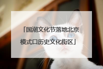 国潮文化节落地北京模式口历史文化街区