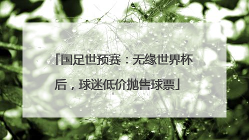 国足世预赛：无缘世界杯后，球迷低价抛售球票