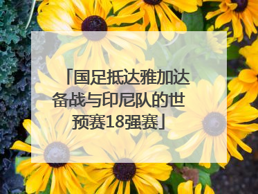国足抵达雅加达备战与印尼队的世预赛18强赛