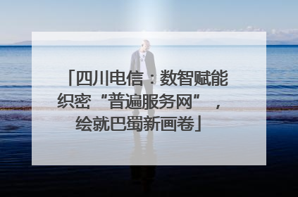 四川电信：数智赋能织密“普遍服务网”，绘就巴蜀新画卷