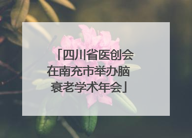 四川省医创会在南充市举办脑衰老学术年会