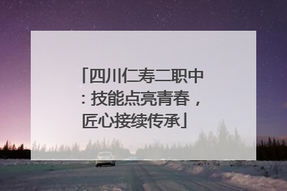 四川仁寿二职中：技能点亮青春，匠心接续传承