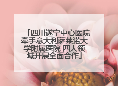 四川遂宁中心医院牵手意大利萨莱诺大学附属医院 四大领域开展全面合作