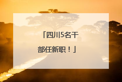 四川5名干部任新职！