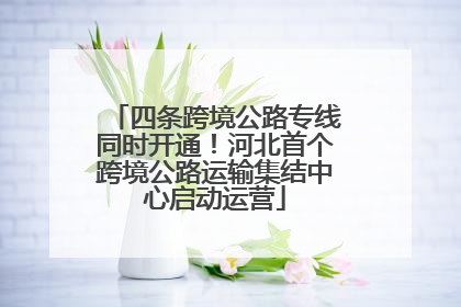 四条跨境公路专线同时开通！河北首个跨境公路运输集结中心启动运营