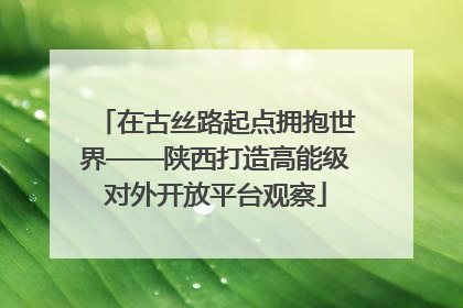 在古丝路起点拥抱世界——陕西打造高能级对外开放平台观察