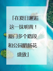在夏日邂逅这一抹明黄！厦门多个路段和公园腊肠花盛放