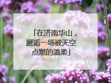 在济南华山，邂逅一场被天空点燃的温柔