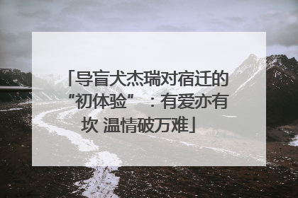 导盲犬杰瑞对宿迁的“初体验”：有爱亦有坎 温情破万难
