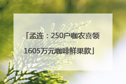 孟连：250户咖农喜领1605万元咖啡鲜果款