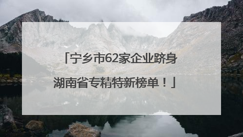 宁乡市62家企业跻身湖南省专精特新榜单！