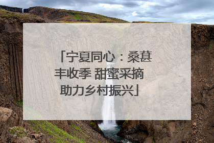 宁夏同心：桑葚丰收季 甜蜜采摘助力乡村振兴
