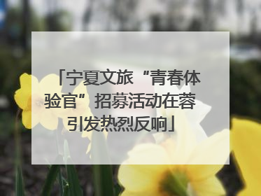 宁夏文旅“青春体验官”招募活动在蓉引发热烈反响