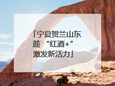 宁夏贺兰山东麓 “红酒+”激发新活力