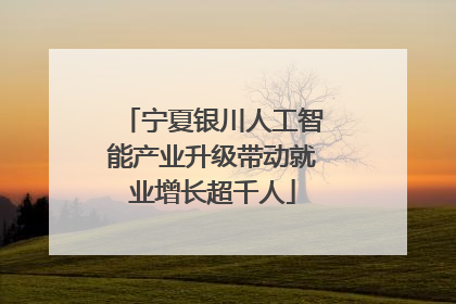 宁夏银川人工智能产业升级带动就业增长超千人