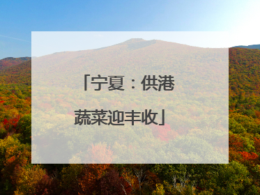宁夏：供港蔬菜迎丰收