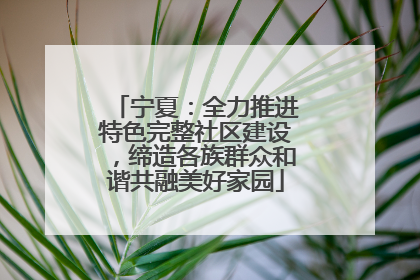 宁夏：全力推进特色完整社区建设，缔造各族群众和谐共融美好家园