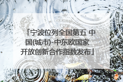 宁波位列全国第五 中国(城市)-中东欧国家开放创新合作指数发布