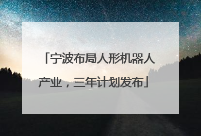 宁波布局人形机器人产业，三年计划发布