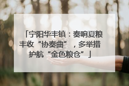 宁阳华丰镇：奏响夏粮丰收“协奏曲”，多举措护航“金色粮仓”