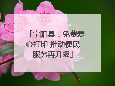 宁阳县：免费爱心打印 推动便民服务再升级